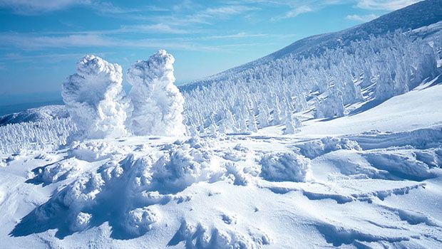 大迫力の自然芸術「蔵王の樹氷」