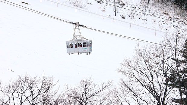 雪質抜群な蔵王の冬を楽しめるゲレンデ