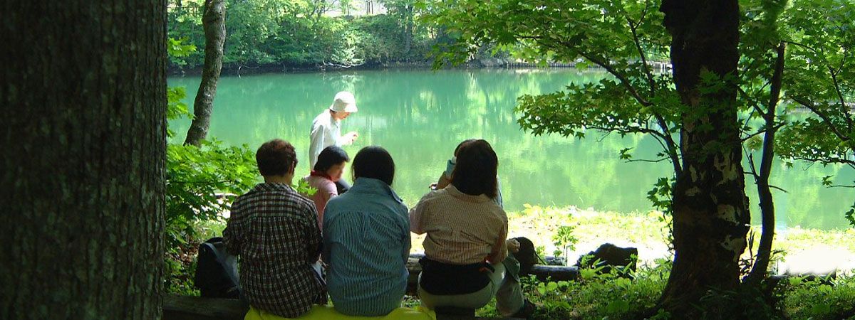 どっこ沼